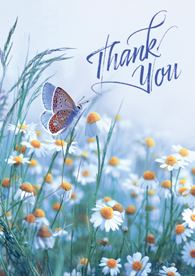 Foldable Thank You Cards - Flowers and Butterfly