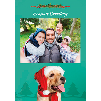 Foldable Holiday Cards - Dog