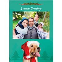 Foldable Holiday Cards - Dog