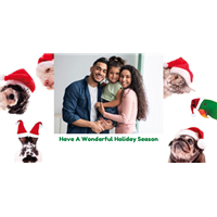 Flat Holiday Cards - Animals With Santa Hats